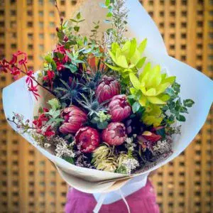 Proteas_Aug21