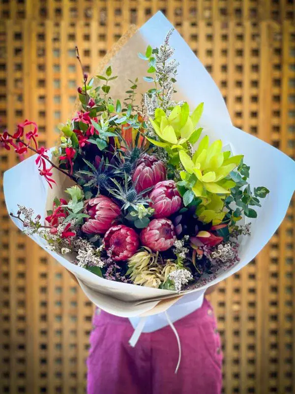Proteas_Aug21