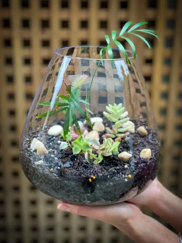 Medium Open Terrarium - Image 3