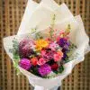 Vibrant and Colourful Blooms