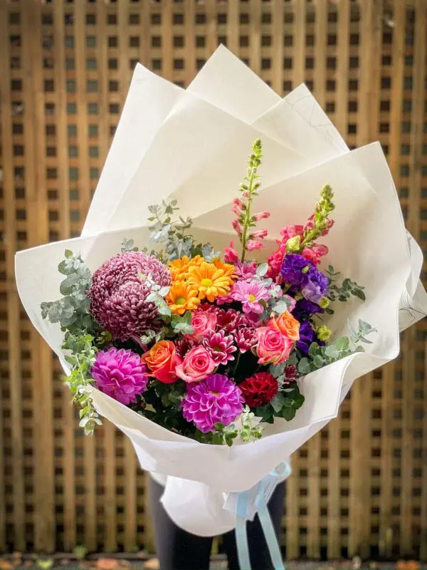 Vibrant and Colourful Blooms