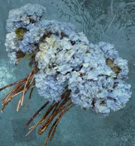 Monochromatic Single-color bouquets for a sleek and elegant appearance