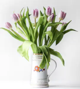 Tulips Declaration of love and perfect love