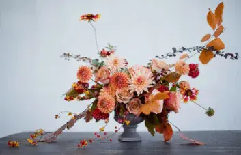 Embracing Autumn